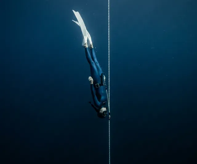 Wave 2 – Intermediate Certification