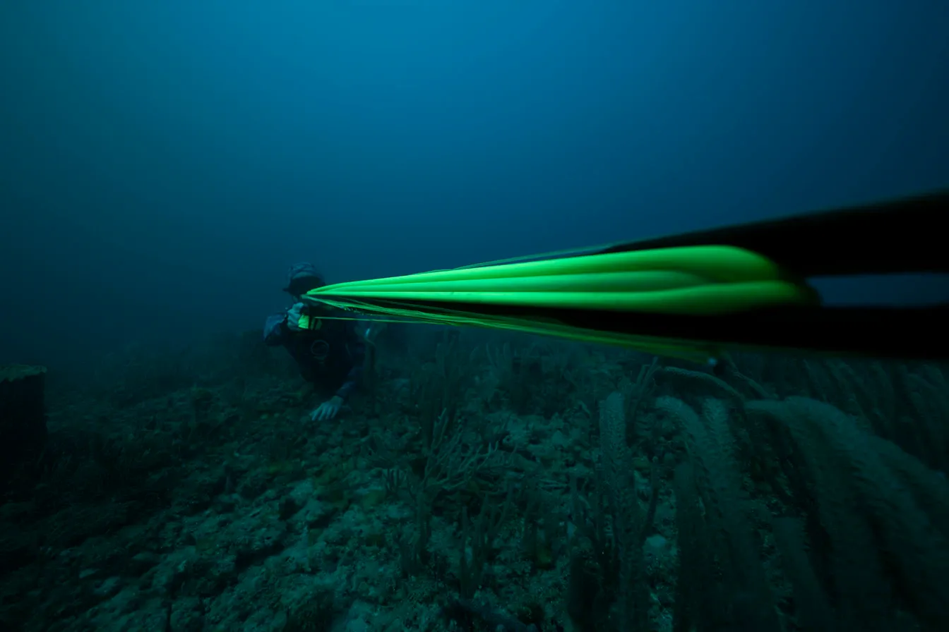 Spearfisher gliding above the seabed β the roots of competitive freediving