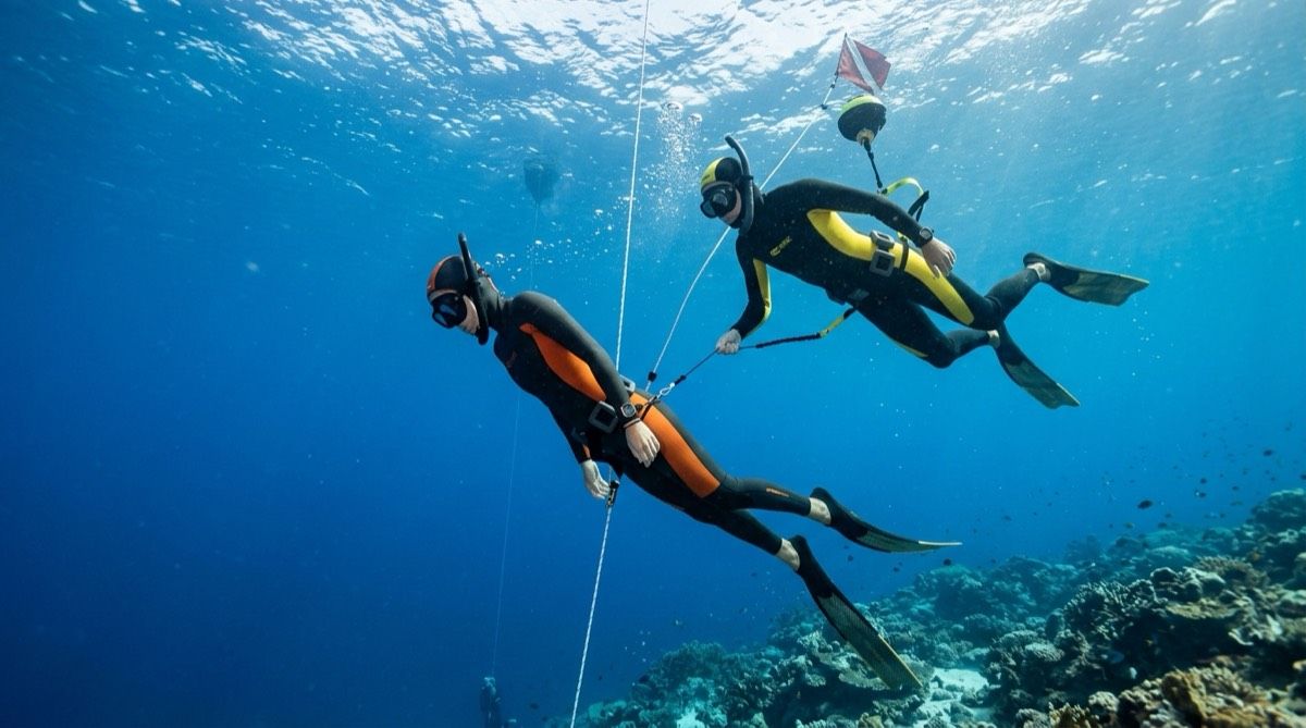 Two freedivers practicing the buddy system along a dive line