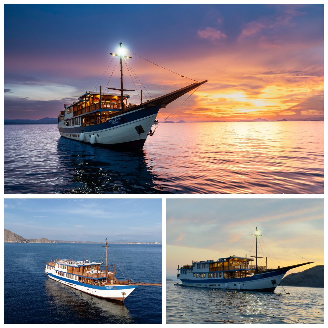 Blue Whales Safari Photo 1